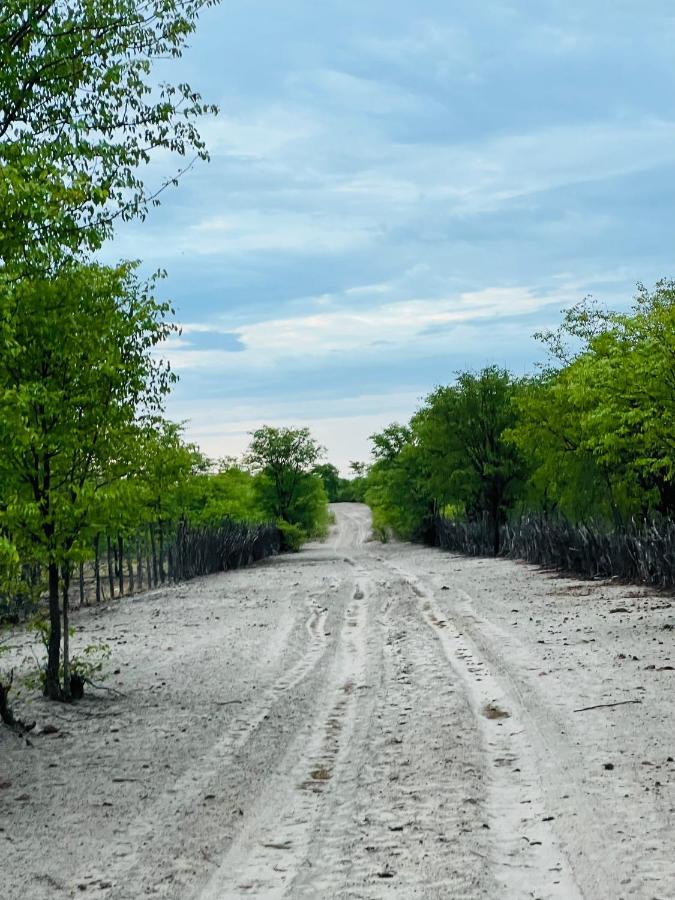 Ndeyapos Village Haven Omuthiya エクステリア 写真